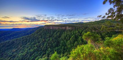 Canyon Lookout - Springbrook National Park - QLD T (PB5D 00 3891)